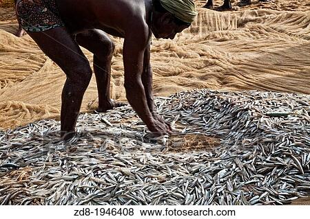 fisherman in kovalam beach. india. View Large Photo Image Stock Photo - fisherman in kovalam beach. india.. Fotosearch