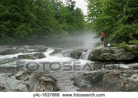 Fisherman on The Middle Prong of the Little Pigeon River in the Greenbrier section of Great Smoky Mountains National Park in Tennessee View Large Photo Image Stock Photograph - Fisherman on The Middle Prong of the Little Pigeon River in the Greenbrier section of Great Smoky Mountains National Park in Tennessee. Fotosearch