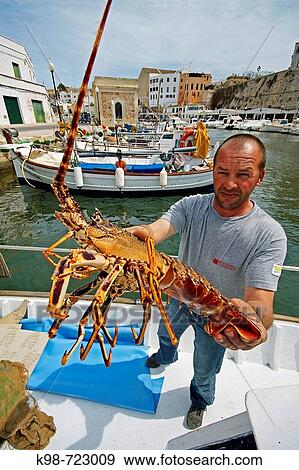 Fisherman showing lobster, port of Ciutadella. Minorca, Balearic Islands, Spain View Large Photo Image Stock Photo - Fisherman showing lobster, port of Ciutadella. Minorca, Balearic Islands, Spain. Fotosearch
