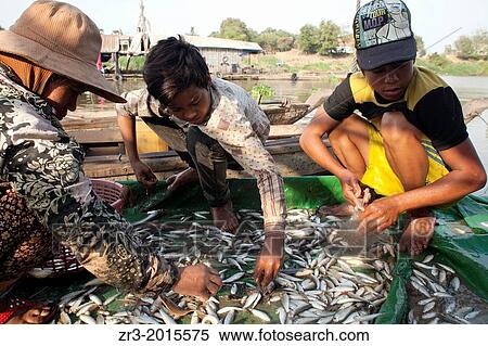 Stock Photography - Fisherman sort through a meager catch on the Mekong River early in the morning outside of Phnom Penh, Cambodia.. Fotosearch