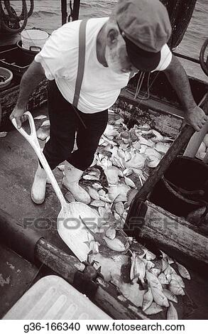 Fisherman View Large Photo Image Stock Image - Fisherman. Fotosearch