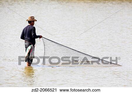 Fisherman throwing his net in the mudflats at lowtide. Laem Pak Bia. Petchaburi province. Thailand. View Large Photo Image Stock Image - Fisherman throwing his net in the mudflats at lowtide. Laem Pak Bia. Petchaburi province. Thailand.. Fotosearch