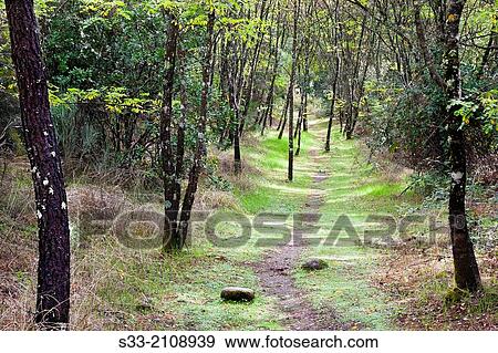 Stock Photo - Fisherman track in Arenas de San Pedro. Avila. Castilla Leon. Spain.. Fotosearch