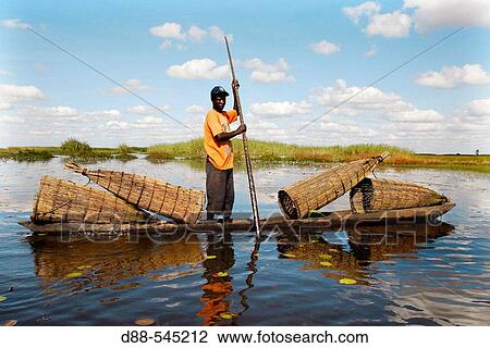 Stock Image - Fisherman with fish traps. Bangweuleu marshes. Zambia.. Fotosearch