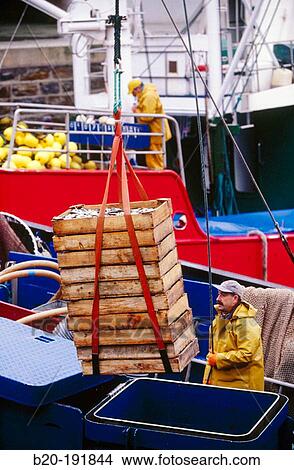 Fishermen at port. Getaria. Guipzcoa. Spain View Large Photo Image Picture - Fishermen at port. Getaria. Guipzcoa. Spain. Fotosearch
