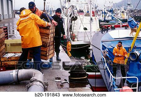 Fishermen at port. Getaria. Guipzcoa. Spain View Large Photo Image Stock Image - Fishermen at port. Getaria. Guipzcoa. Spain. Fotosearch