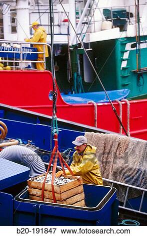 Fishermen at port. Getaria. Guipzcoa. Spain View Large Photo Image Stock Photo - Fishermen at port. Getaria. Guipzcoa. Spain. Fotosearch