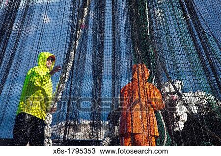Fishermen at Prince William Sound, Alaska, U S A View Large Photo Image Stock Image - Fishermen at Prince William Sound, Alaska, U S A. Fotosearch