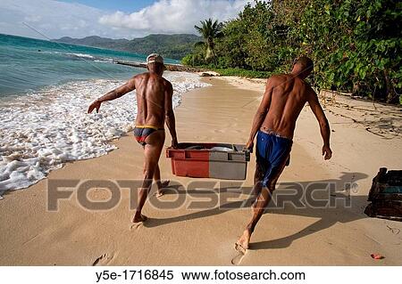 Fishermen bringing the catch on Anse Royale - Mahe? Island - Seychelles View Large Photo Image Stock Photography - Fishermen bringing the catch on Anse Royale - Mahe? Island - Seychelles. Fotosearch