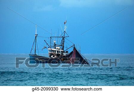 Fishermen in action, Basque Country; France. View Large Photo Image Stock Image - Fishermen in action, Basque Country; France.. Fotosearch