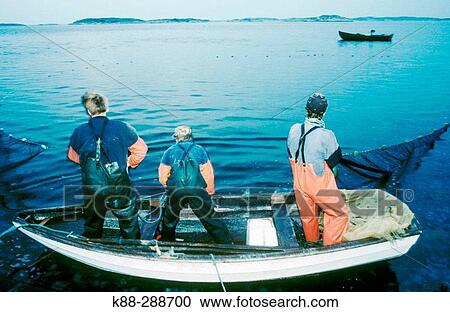 Stock Image - Fishermen in Havstenssund. Bohusln. Sweden. Fotosearch