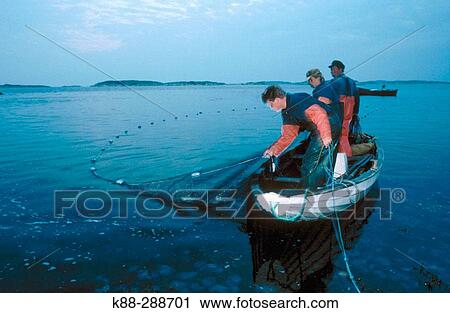 Fishermen in Havstenssund. Bohusln. Sweden View Large Photo Image Stock Image - Fishermen in Havstenssund. Bohusln. Sweden. Fotosearch