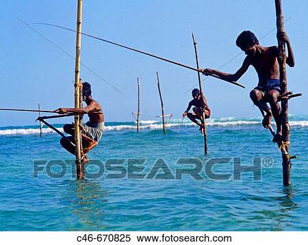 Fishermen on stilts. Weligama. Sri Lanka View Large Photo Image Stock Photography - Fishermen on stilts. Weligama. Sri Lanka. Fotosearch