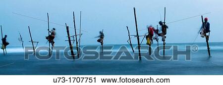 Stock Image - Fishermen perched on their stilts in Midigama, Sri Lanka. Fotosearch