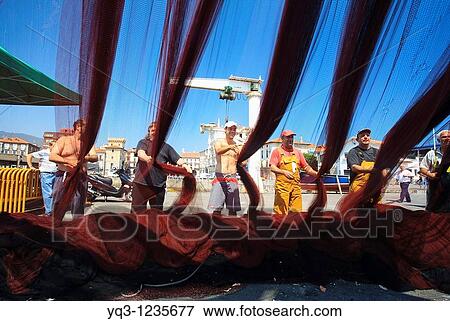 Stock Photo - Fishermen pulling nets, Castro Urdiales, Cantabria, Spain. Fotosearch