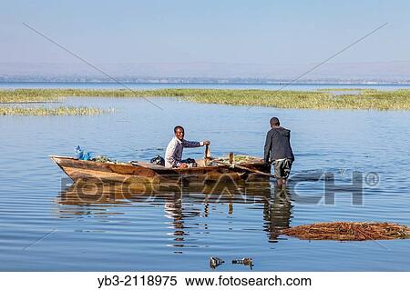 Fishermen Returning With Their Catch, Lake Hawassa, Hawassa, Ethiopia. View Large Photo Image Stock Photography - Fishermen Returning With Their Catch, Lake Hawassa, Hawassa, Ethiopia.. Fotosearch