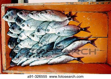 Stock Photography - Fishes for sale, Sunday market. Marsaxlokk. Malta.. Fotosearch