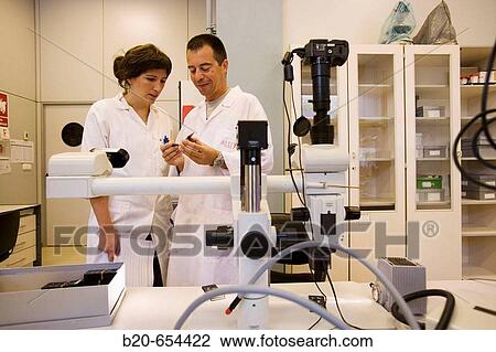 Stock Image - Fishing biology laboratory. Polishing and reading of otoliths and gonads. AZTI-Tecnalia. Technological Centre specialised in Marine and Food Research. Pasaia, Gipuzkoa, Euskadi. Spain.. Fotosearch