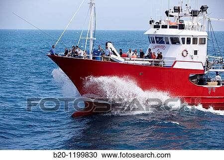 Fishing boat, Getaria, Gipuzkoa, Euskadi, Spain View Large Photo Image Stock Image - Fishing boat, Getaria, Gipuzkoa, Euskadi, Spain. Fotosearch