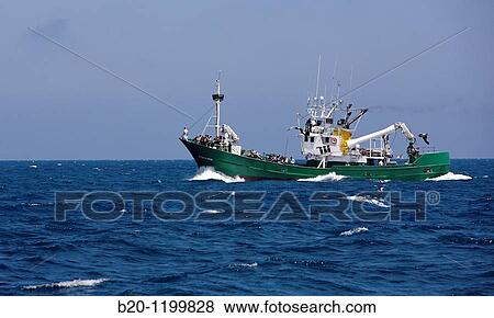 Fishing boat, Getaria, Gipuzkoa, Euskadi, Spain View Large Photo Image Stock Photo - Fishing boat, Getaria, Gipuzkoa, Euskadi, Spain. Fotosearch