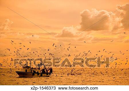 Fishing boat off the coast of Nerja, Andalucia, View Large Photo Image Stock Image - Fishing boat off the coast of Nerja, Andalucia,. Fotosearch