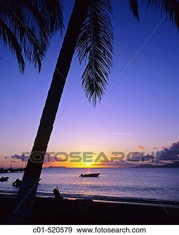 Fishing boat, palm tree and sea at sunset. Guadeloupe, Caribbean, France View Large Photo Image Stock Photo - Fishing boat, palm tree and sea at sunset. Guadeloupe, Caribbean, France. Fotosearch