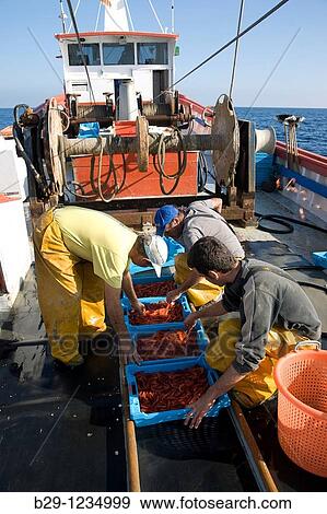 fishing boat View Large Photo Image Stock Photo - fishing boat. Fotosearch