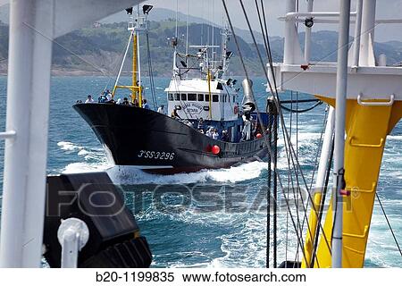 Fishing boat trip to the flysch, Zumaia, Guipuzcoa, Basque Country, Spain View Large Photo Image Stock Photography - Fishing boat trip to the flysch, Zumaia, Guipuzcoa, Basque Country, Spain. Fotosearch