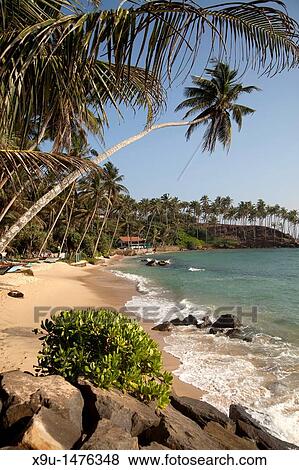 fishing boats at the dream beach in Mirissa, Sri Lanka View Large Photo Image Stock Photo - fishing boats at the dream beach in Mirissa, Sri Lanka. Fotosearch