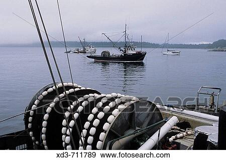 Fishing boats, Port Renfrew. Vancouver Island, British Columbia, Canada View Large Photo Image Stock Photo - Fishing boats, Port Renfrew. Vancouver Island, British Columbia, Canada. Fotosearch