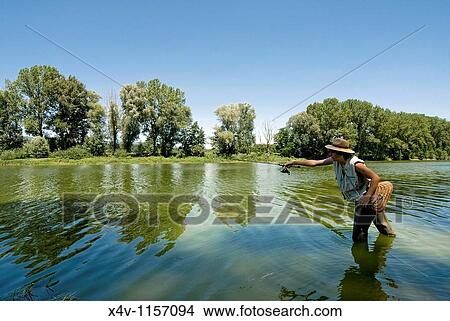 Picture - Fishing in Arno River, Ponte Buriano, Arezzo, Tuscany, Italy, Europe, M R. Fotosearch