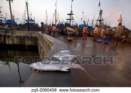 Fishing jetty and fish, Malim, Goa. View Large Photo Image Stock Photo - Fishing jetty and fish, Malim, Goa.. Fotosearch