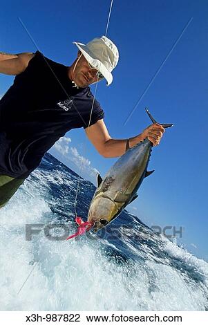 Stock Image - fishing on sailing boat, Grenadines Islands, Winward Islands, Lesser Antilles, Caribbean Sea. Fotosearch