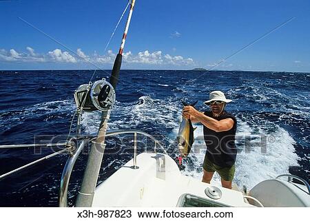 fishing on sailing boat, Grenadines Islands, Winward Islands, Lesser Antilles, Caribbean Sea View Large Photo Image Stock Image - fishing on sailing boat, Grenadines Islands, Winward Islands, Lesser Antilles, Caribbean Sea. Fotosearch