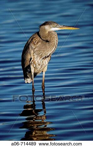 Stock Photo - fishing. Fotosearch