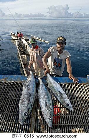 Fishing View Large Photo Image Stock Photography - Fishing. Fotosearch