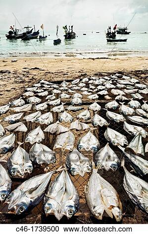 Fishing village, Hua Thanon, Ko Samui Island, Thailand, Asia. View Large Photo Image Stock Image - Fishing village, Hua Thanon, Ko Samui Island, Thailand, Asia.. Fotosearch