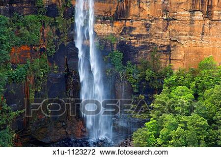 Fitzroy Falls Southern Highlands New South Wales Australia View Large Photo Image Stock Image - Fitzroy Falls Southern Highlands New South Wales Australia. Fotosearch