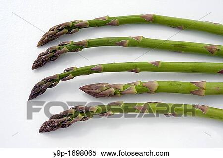 Five Green Asparagus on White Background View Large Photo Image Stock Photography - Five Green Asparagus on White Background. Fotosearch