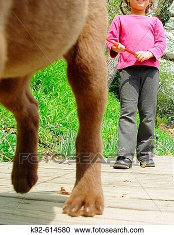 Five-year-old girl walking a puppy View Large Photo Image Stock Image - Five-year-old girl walking a puppy. Fotosearch