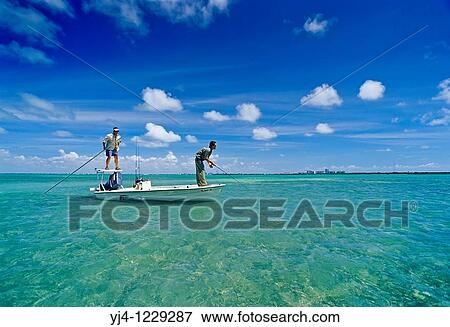 flats fishing for bonefish, Albula vulpes, Stiltsville, Biscayne National Park, Florida, USA, Atlantic Ocean View Large Photo Image Stock Photo - flats fishing for bonefish, Albula vulpes, Stiltsville, Biscayne National Park, Florida, USA, Atlantic Ocean. Fotosearch