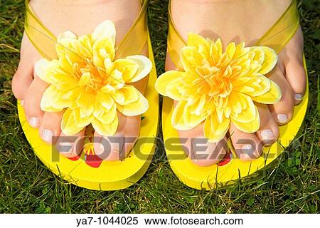 Flip Flops View Large Photo Image Stock Photography - Flip Flops. Fotosearch