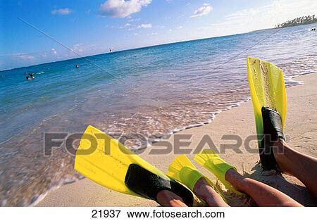 Flippers on Caribbean beach View Large Photo Image Stock Photo - Flippers on Caribbean beach. Fotosearch