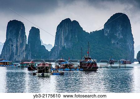 Floating Fishing Village, Ha Long Bay, Gulf of Tonkin, Vietnam. View Large Photo Image Stock Image - Floating Fishing Village, Ha Long Bay, Gulf of Tonkin, Vietnam.. Fotosearch