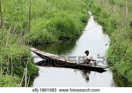 Floating gardens, Inle Lake, Shan states, Burma View Large Photo Image Stock Image - Floating gardens, Inle Lake, Shan states, Burma. Fotosearch