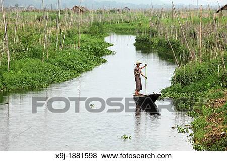 Floating gardens, Inle Lake, Shan states, Burma View Large Photo Image Stock Photo - Floating gardens, Inle Lake, Shan states, Burma. Fotosearch