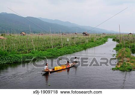 Floating gardens, Inle Lake, Shan states, Burma View Large Photo Image Stock Photo - Floating gardens, Inle Lake, Shan states, Burma. Fotosearch