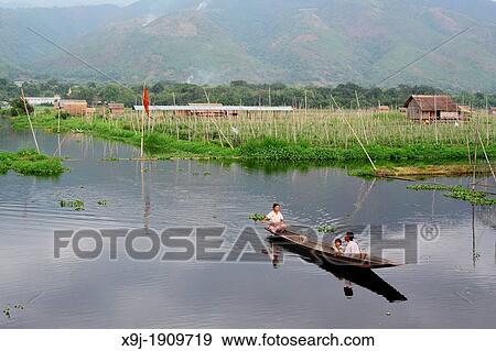 Stock Photo - Floating gardens, Inle Lake, Shan states, Burma. Fotosearch