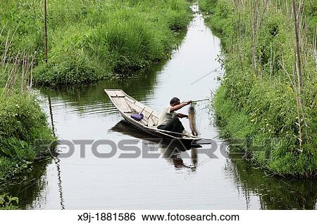 Floating gardens, Inle Lake, Shan states, Burma View Large Photo Image Stock Photograph - Floating gardens, Inle Lake, Shan states, Burma. Fotosearch