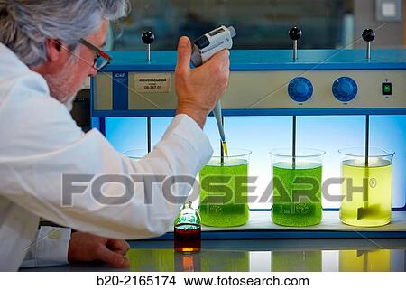 Flocculation tests. Precipitation of microalgae. Algae culture. Algae biofuel research. Organic Laboratory. Energy and Environment Division. Tecnalia Research and Innovation. Donostia. San Sebastian. Gipuzkoa. Basque Country. Spain. View Large Photo Image Picture - Flocculation tests. Precipitation of microalgae. Algae culture. Algae biofuel research. Organic Laboratory. Energy and Environment Division. Tecnalia Research and Innovation. Donostia. San Sebastian. Gipuzkoa. Basque Country. Spain.. Fotosearch